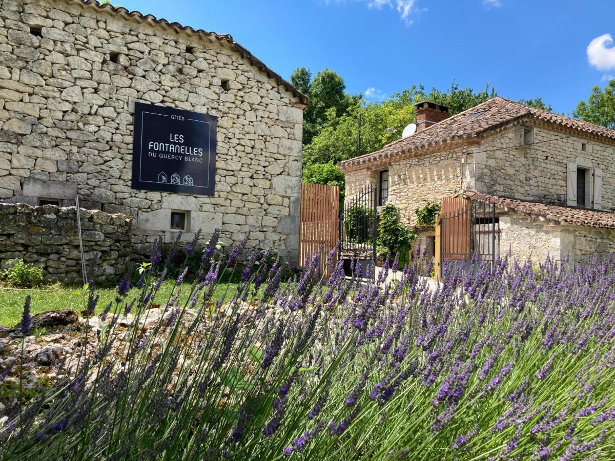 Villa Les fontanelles du quercy blanc à Montcuq Extérieur photo
